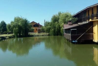 Proprietate de vanzare 3690 mp cu balta populata - 1