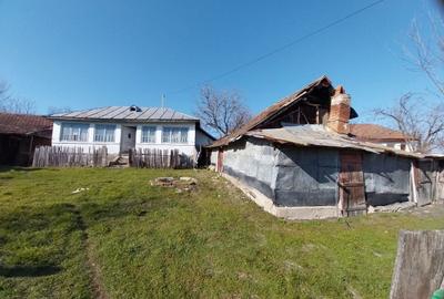 Casă cu 2 camere în Central - 1