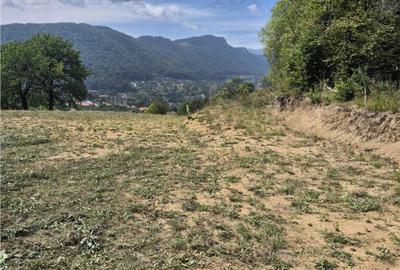 Teren intravilan pentru investitie turistica, 4000 mp, langa - 5