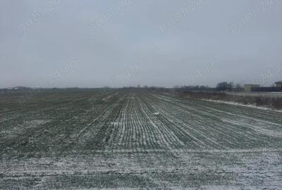 Teren de 5000 mp, în Șag - 7