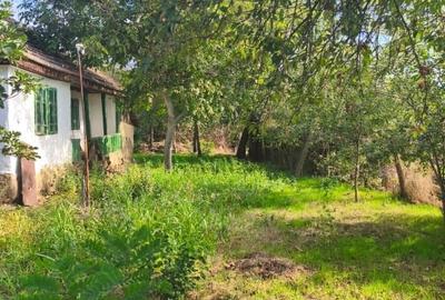 Teren intravilan 1350m2 + casa de chirpici - comuna Amaru, Buzau. 15 min de A7 - 3