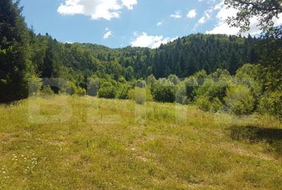 Teren de 1200 mp, în Central