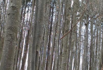 Teren de 30000000 mp, în Exterior Vest - 2