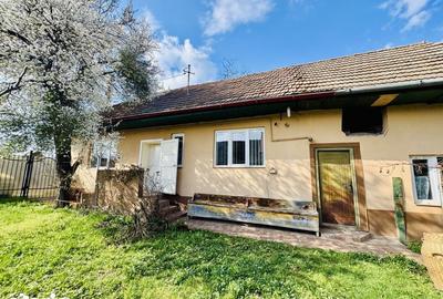 Casă cu 2 camere cu Teren 1702 Mp în Șercaia - 9