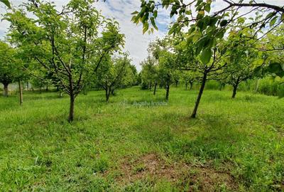 Teren de 2400 mp, în Central - 3