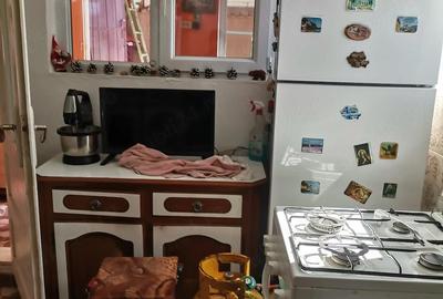 Casă cu Teren 350 Mp în Svinița - 2