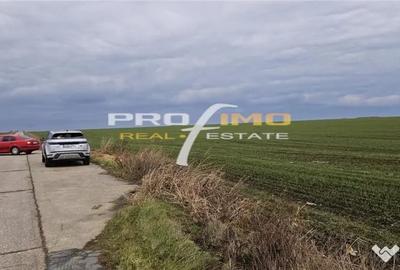 Teren de 4200 mp, în Corbu - 5