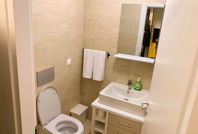 Apartament cu 2 camere semidecomandat, mobilat în Ștefăneștii de Jos - 7