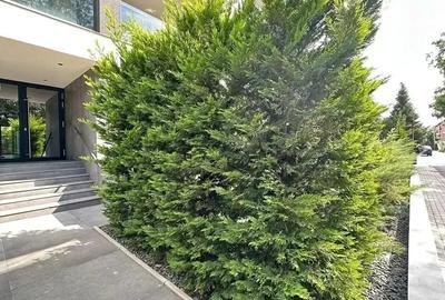 Apartament 3 Camere / Iancu Nicolae /2 Locuri de Parcare - 21