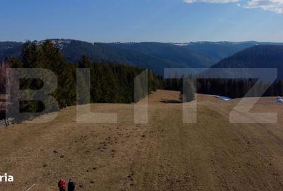 Spațiu comercial, în Râșca - 4