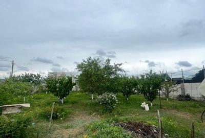 Teren Construcții intravilan de 1500 mp, în Lumina - 7