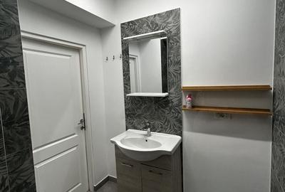 Apartament cu 3 camere semidecomandat, mobilat în Alfa - 6