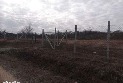 Teren de 9500 mp, în Podgoria - 2