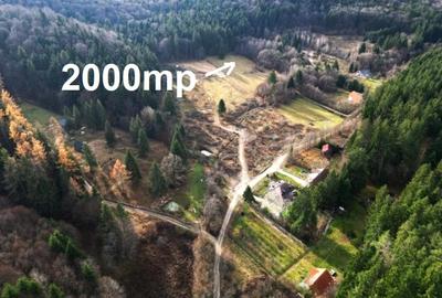 Teren intravilan 2000 mp în Vulcan BV – Oază de liniște între pădure și lacuri - 3