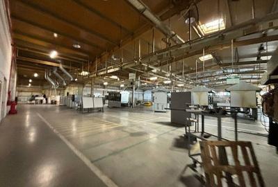 Spațiu industrial, 5000 mp în Șagului