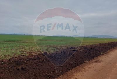 Comision 0 %! Teren extravilan, 21,175 mp Harman - 1