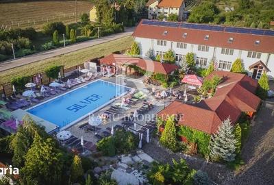 Spațiu comercial, de 2,000 mp, în Podgoria - 19