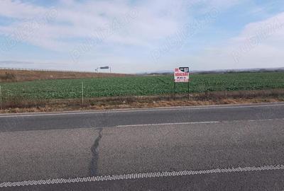 Teren de 19600 mp, în Central - 2