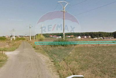 Teren intravilan de 9195 mp, în Snagov - 6