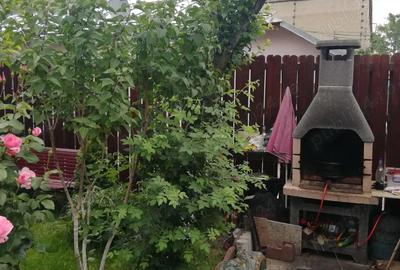 Casă cu 3 camere cu Teren 249 Mp în Pantelimon - 3