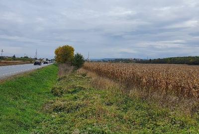 Teren agricol intravilan de 11791 mp, în Sântandrei - 3