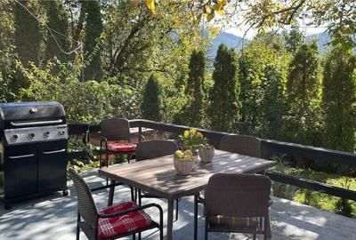 Vila Exclusivista Drumul Poienii / Pretabil Regim Hotelier - 4