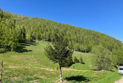 Teren de vânzare, zonă turistică - 3