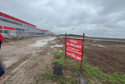 Teren de 4100 mp, în Dragomirești-Deal - 5