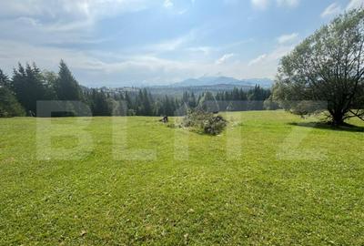 Vanzare teren intravilan de 2 hectare, in Pasul Tihu?a - 3