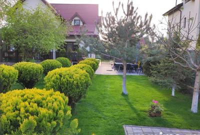 Casa 3 camere Domnesti Casa 3 camere Domnesti - 2