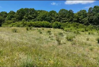 Vanzare teren intravilan, 700 mp., Chinteni - 2