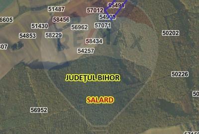 Spațiu comercial, în Sântimreu - 10