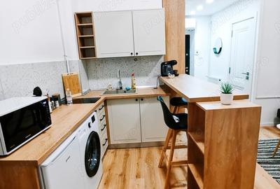 Apartament 2 camere de inchiriat Central, zona Teatrului, Arad - 6