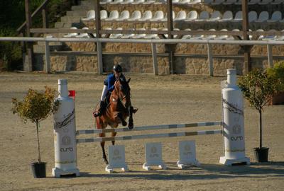 Proprietate specială, de 1,537,099 mp, în Herneacova - 21