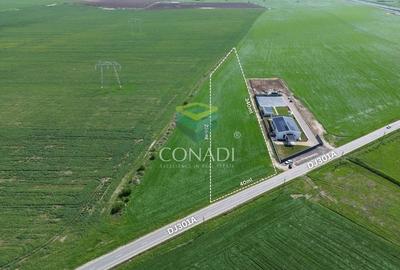 Teren pretabil pentru industrial - Cernica - 1 Ha - 1