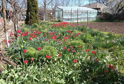 Casă cu 4 camere în Valea Stânii - 5