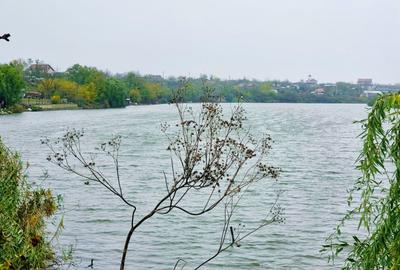 LILIECI vanzare teren de COLT 682mp Str Dealului nr.1 Balta Lilieci Ialomita - 13