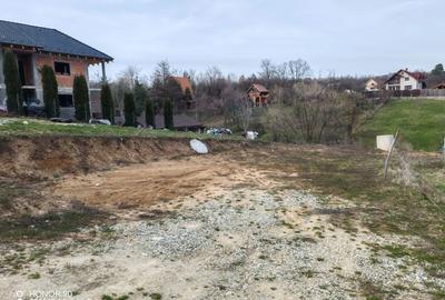 Spațiu comercial, în Rășinari - 3