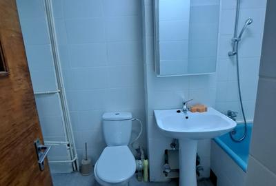 Oferta inchiriere apartament 3 camere Lacul Tei Parcul Circului - 15