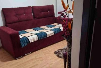 Apartament cu 2 camere semidecomandat în Nicolae Bălcescu - 3