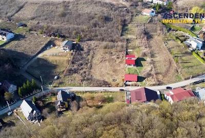 FILM!2.580mp, intravilan,construibil, sursa proprie apa, Valea Iubirii,Corunca, - 5