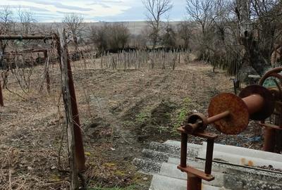 Casă cu 3 camere cu Teren 2394 Mp în Fărcășești - 2