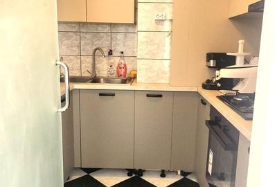 Apartament cu 3 camere decomandat, mobilat în Unirii - 6