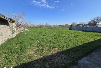 Casă cu 7 camere cu Teren 1775 Mp în Zădăreni - 6