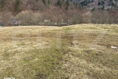 Spațiu comercial, în Paltin - 7