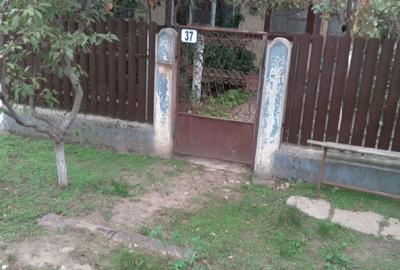 Teren de 1300 mp, în Drăgănescu