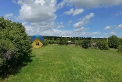 Teren intravilan de vanzare Unghi- jud. Neamt - 18