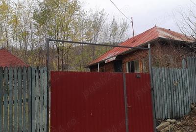 Casă cu 2 camere cu Teren 1000 Mp în Salcia - 8