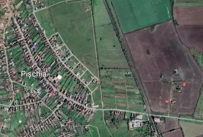 Teren de 692 mp, în Pișchia - 3