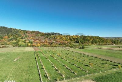 Spațiu comercial, în Aușeu - 4